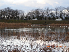 DSCN3612.JPG