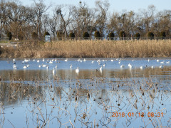 DSCN0055.JPG