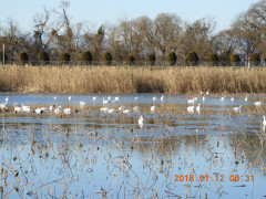 DSCN0056.JPG