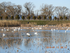 DSCN0057.JPG
