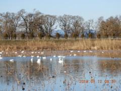 DSCN0058.JPG