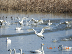 DSCN0261.JPG