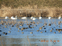 DSCN0061.JPG