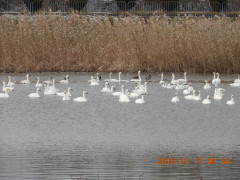 DSCN0366.JPG