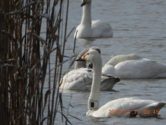 DSCN0357.JPG