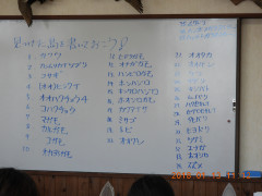 DSCN0373.JPG