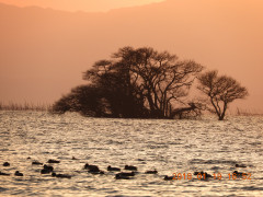 DSCN0654.JPG