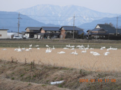DSCN0668.JPG
