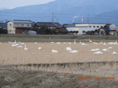 DSCN0669.JPG