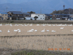 DSCN0670.JPG