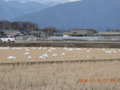 DSCN0671.JPG