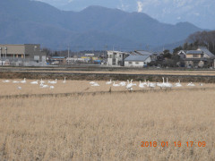 DSCN0672.JPG