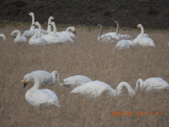DSCN0688.JPG