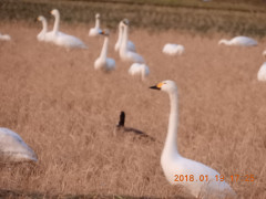 DSCN0709.JPG