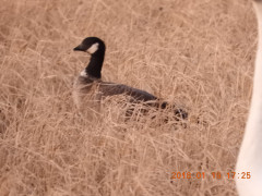 DSCN0708.JPG