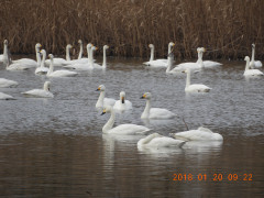 DSCN0757.JPG