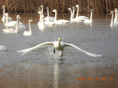 DSCN0737.JPG
