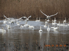 DSCN0746.JPG