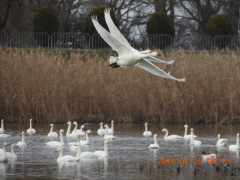 DSCN0752.JPG