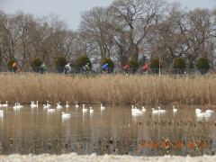 DSCN0788.JPG