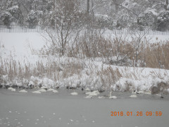 DSCN0915.JPG