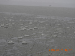 DSCN0942.JPG