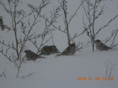 DSCN0917.JPG