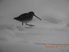 DSCN0948.JPG