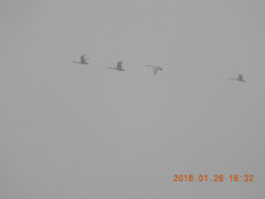 DSCN0941.JPG