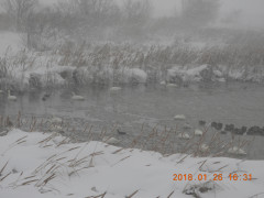 DSCN0937.JPG