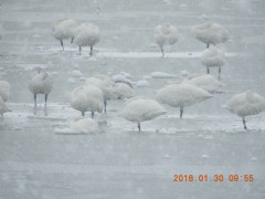 DSCN0997.JPG
