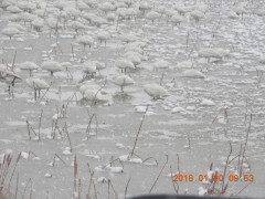 DSCN0991.JPG