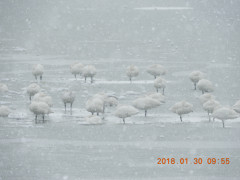 DSCN0995.JPG