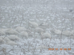 DSCN0999.JPG