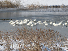DSCN1054.JPG