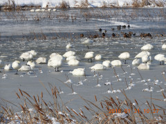 DSCN1058.JPG