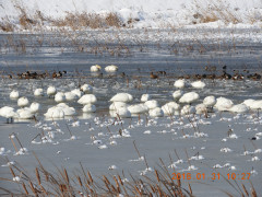 DSCN1059.JPG