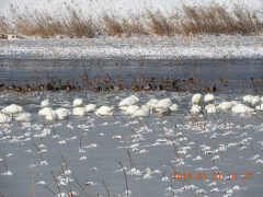 DSCN1060.JPG