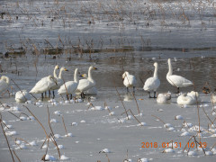 DSCN1073.JPG