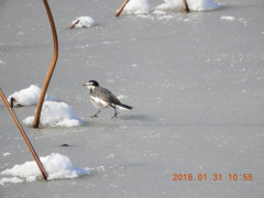 DSCN1082.JPG