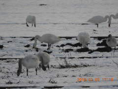 DSCN1150.JPG