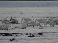 DSCN1151.JPG