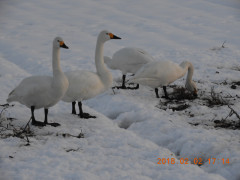 DSCN1152.JPG