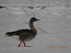 DSCN1122.JPG