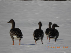 DSCN1114.JPG