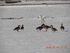 DSCN1120.JPG