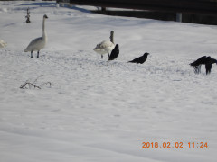DSCN1091.JPG