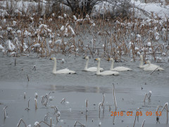 DSCN1202.JPG