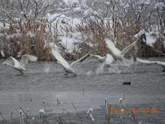 DSCN1208.JPG