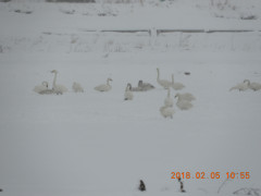 DSCN1218.JPG
